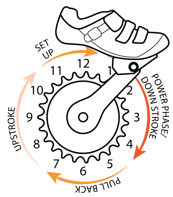 Found this great image of the pedal stroke on rideharder.co.uk